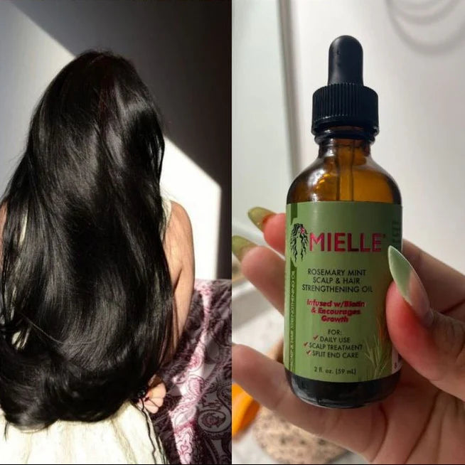 زيت مييل إكليل الجبل الأصلي – الحل الطبيعي لاستعادة كثافة شعرك من الجذور